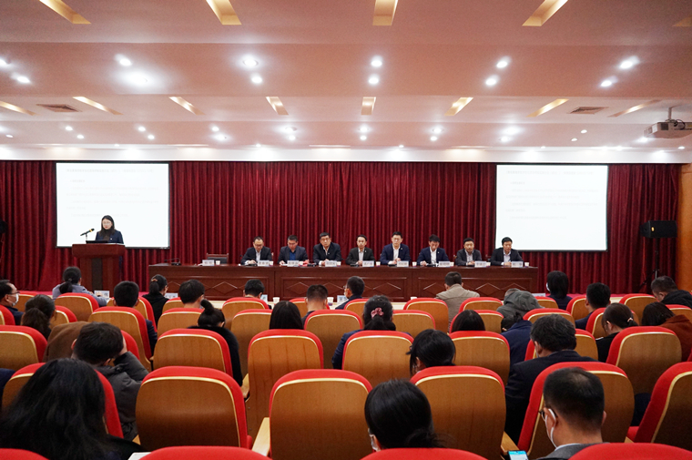 纽约国际最新网站举行2023年度社团导师聘任大会
