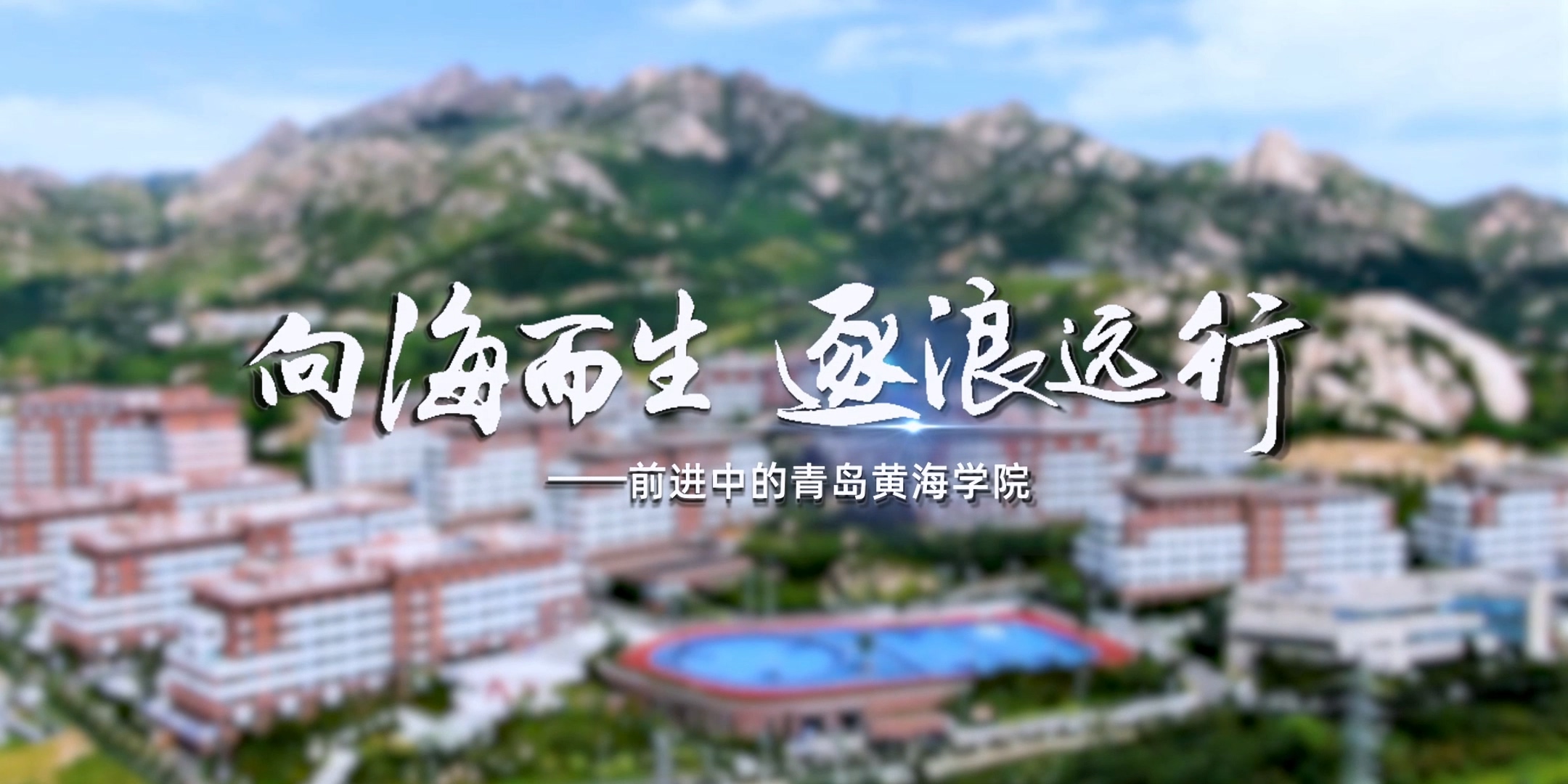 《向海而生 逐浪远行》——前进中的纽约国际最新网站